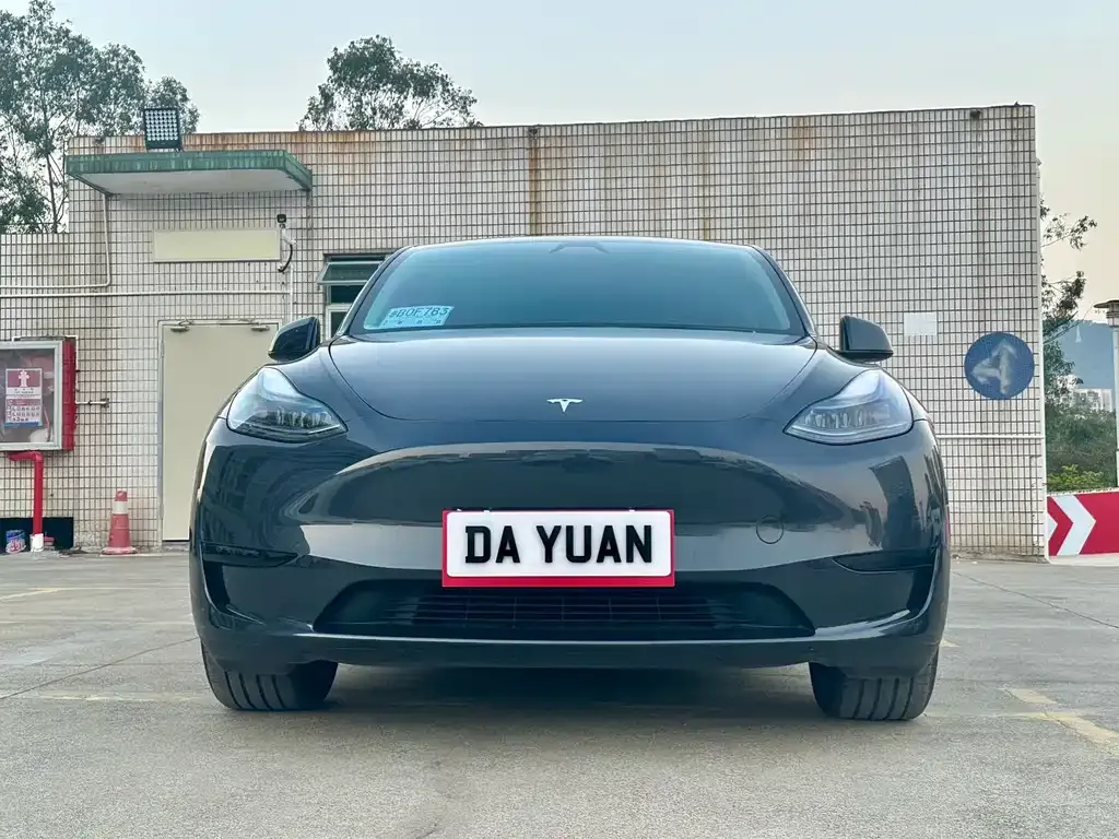 Tesla Model Y — фото 3