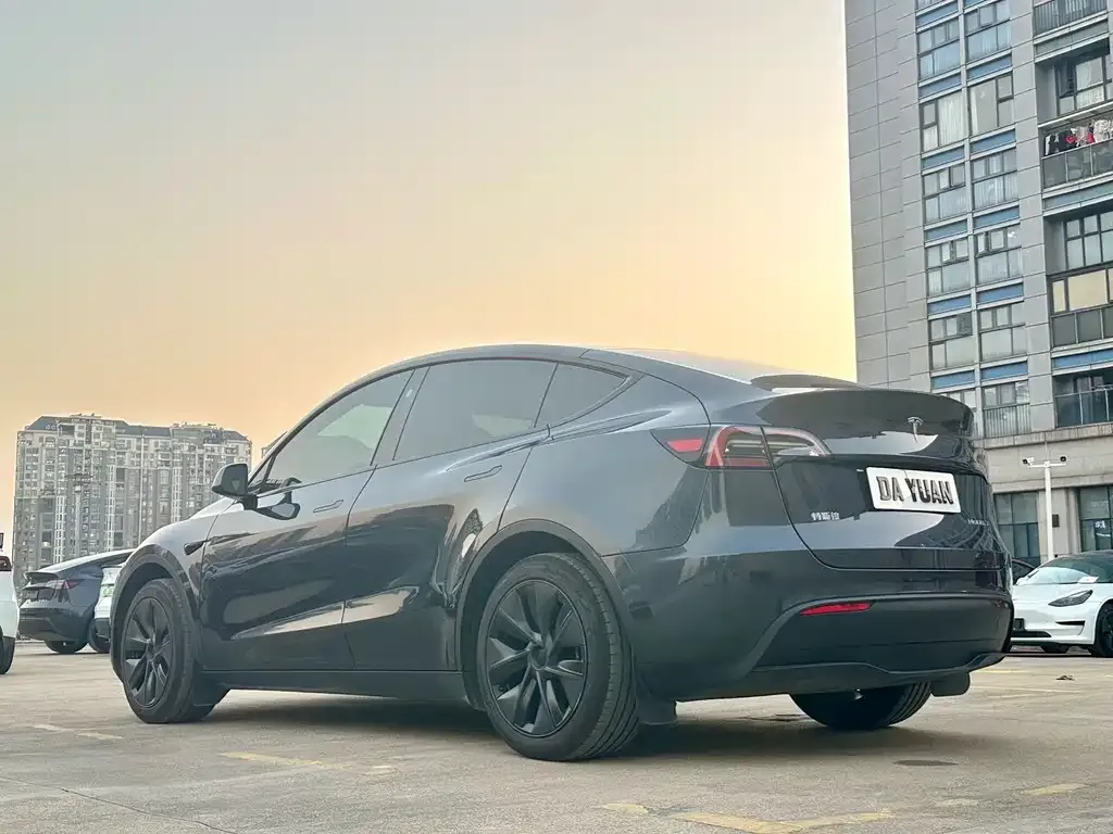 Tesla Model Y — фото 9