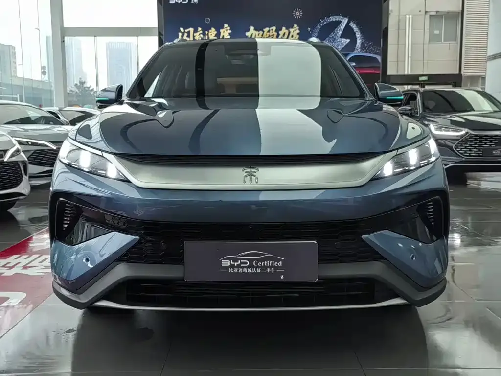 BYD Pro New Energy — фото 1