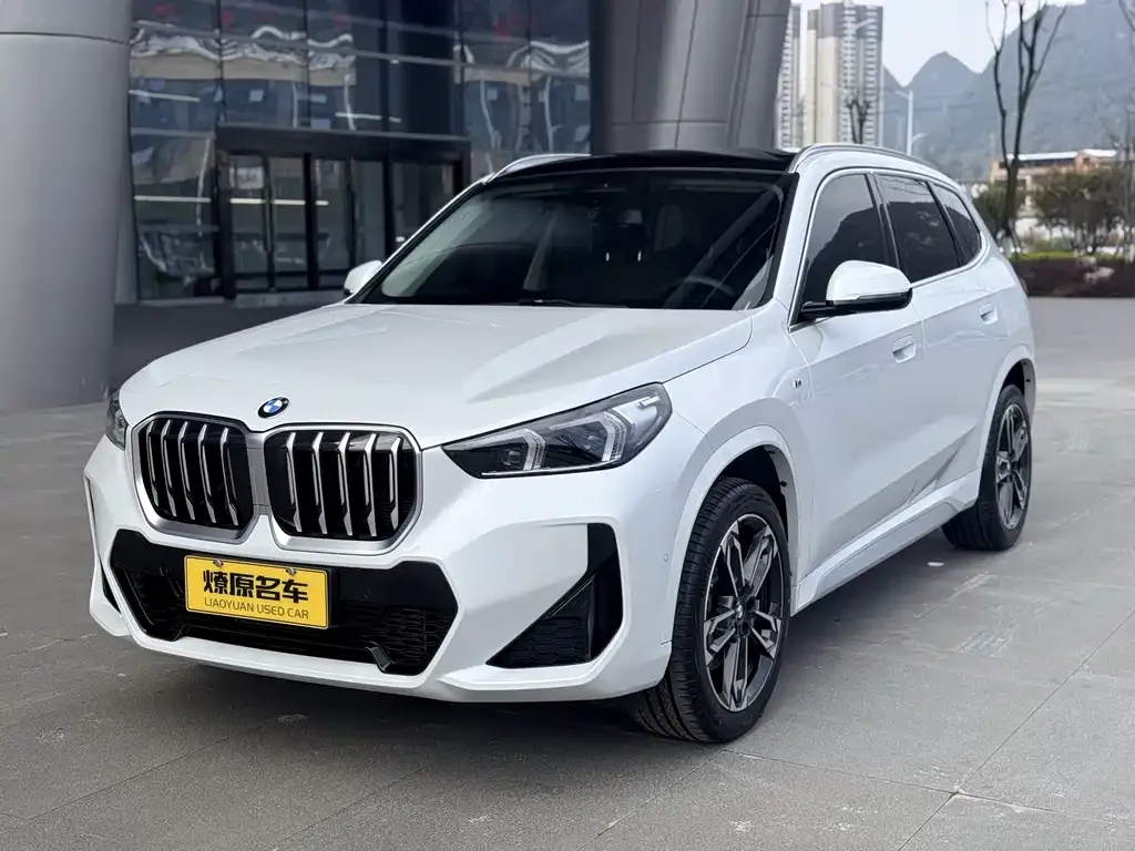 BMW X1 — фото 1