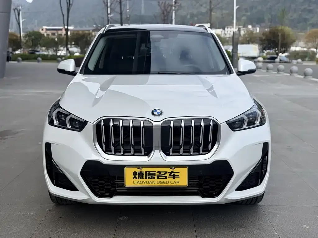 BMW X1 — фото 10