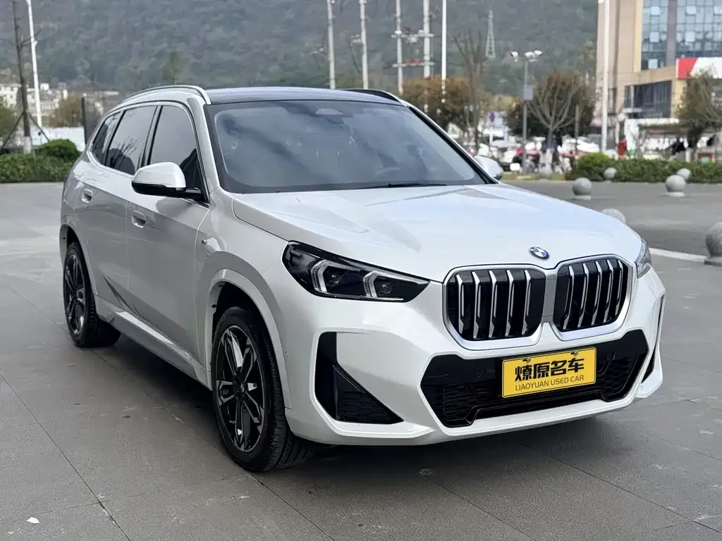 BMW X1 — фото 4