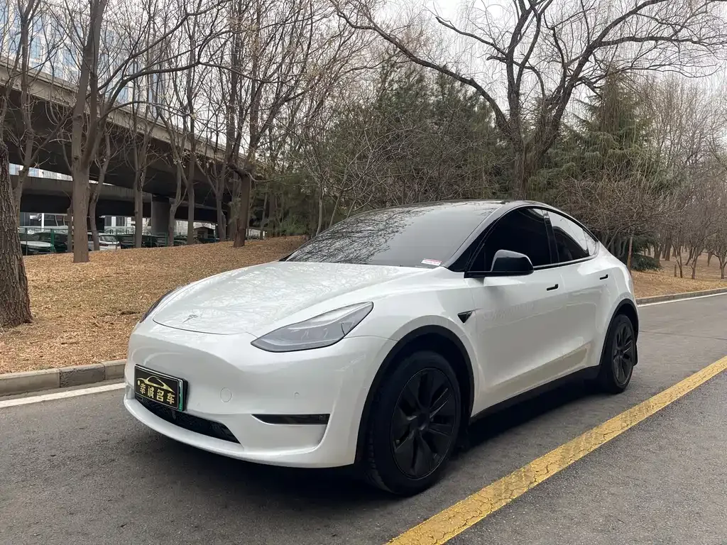 Tesla Model Y — фото 1