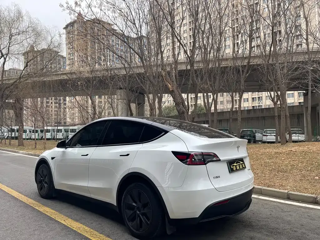 Tesla Model Y — фото 8