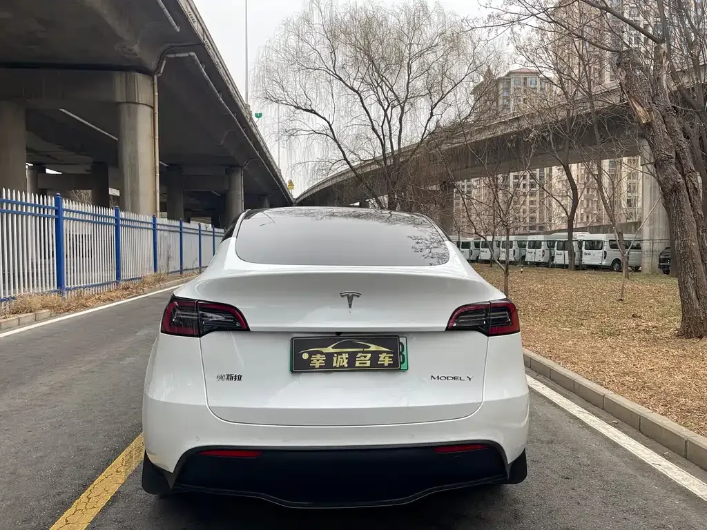 Tesla Model Y — фото 10