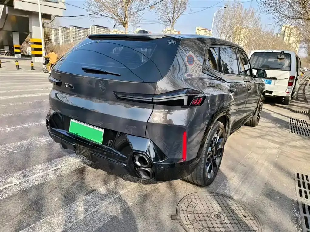 BMW XM 2025 из CN, фото 5