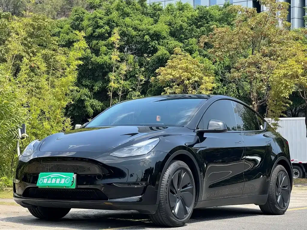 Tesla Model Y 2022 из CN, фото 1