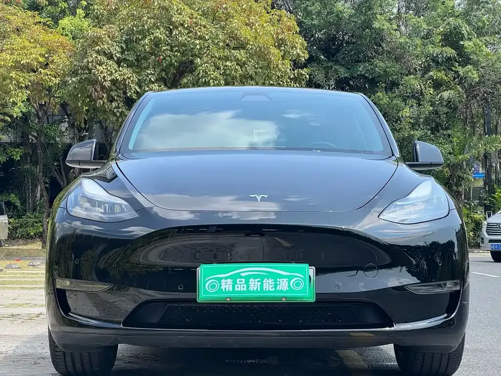 Tesla Model Y 2022 из CN, фото 10