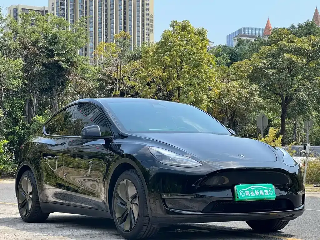 Tesla Model Y 2022 из CN, фото 7