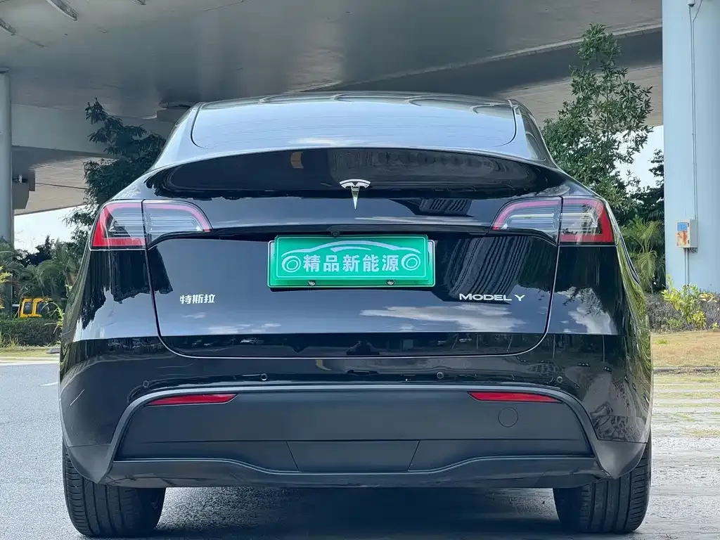 Tesla Model Y 2022 из CN, фото 4