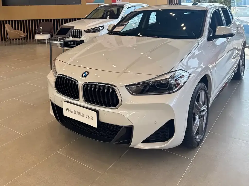 BMW X2 2022 из CN, фото 4