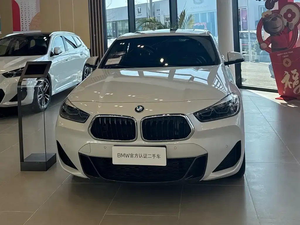 BMW X2 2022 из CN, фото 8