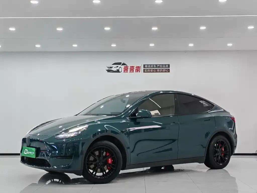 Tesla Model Y — фото 1