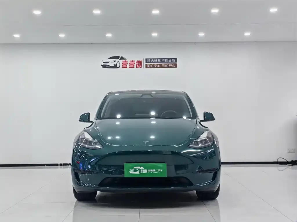 Tesla Model Y — фото 3