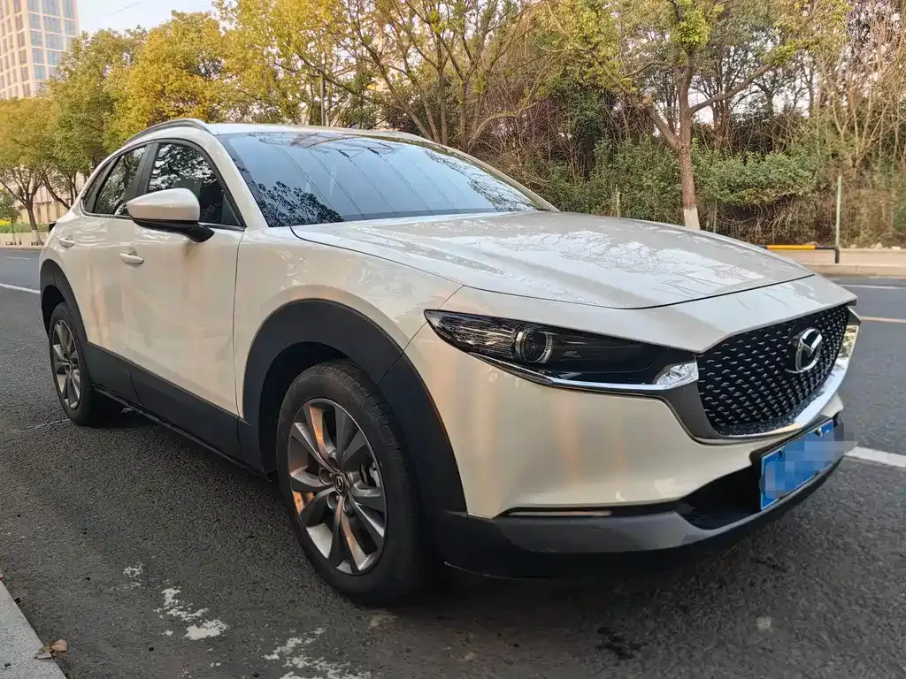 Mazda CX-30 2021 из CN, фото 5