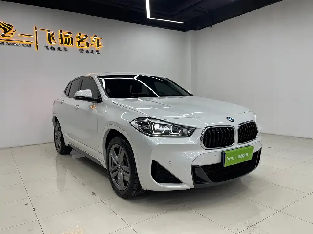 BMW X2 2023 из CN, фото 5