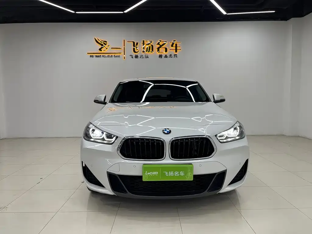 BMW X2 2023 из CN, фото 2