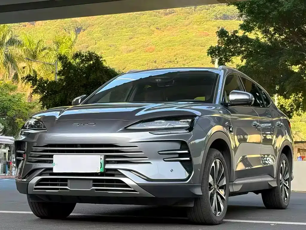 BYD PLUS New Energy — фото 1