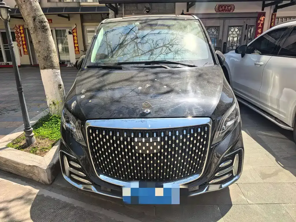 Mercedes-Benz Vito 2022 из CN, фото 2