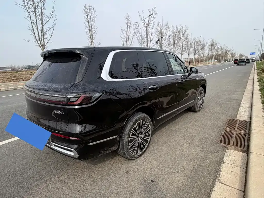 Geely 银河M9 2025 из CN, фото 4