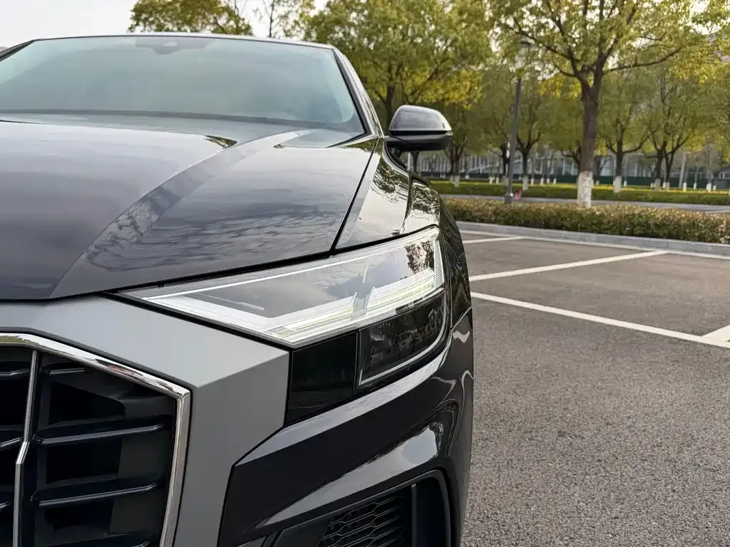 Audi Q8 2021 из CN, фото 6