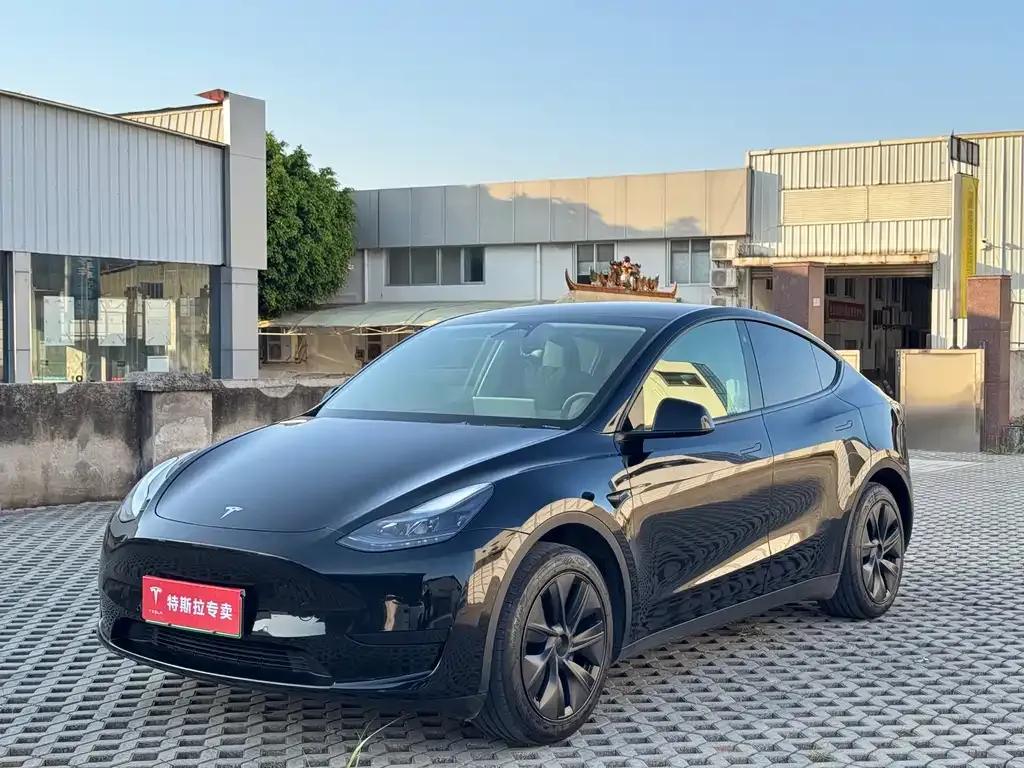 Tesla Model Y — фото 1