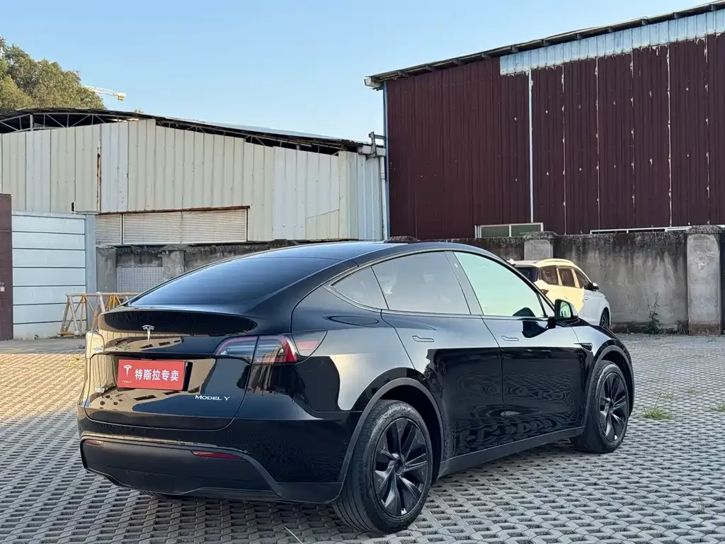 Tesla Model Y — фото 10