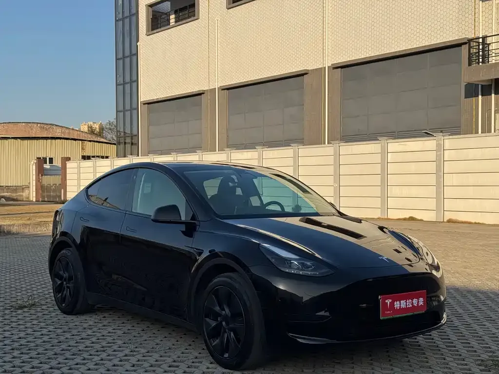 Tesla Model Y — фото 7