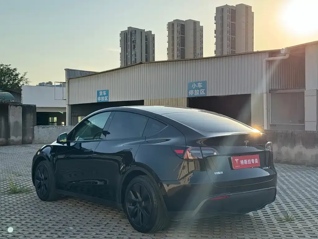 Tesla Model Y — фото 8