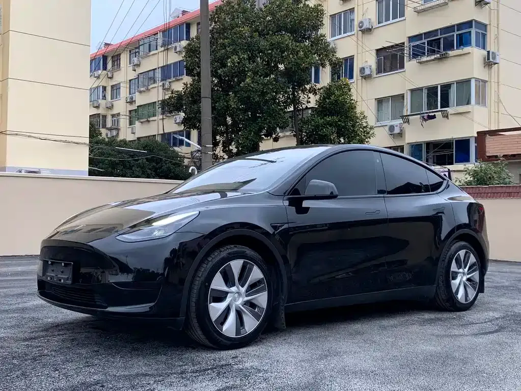 Tesla Model Y 2022 из CN, фото 1