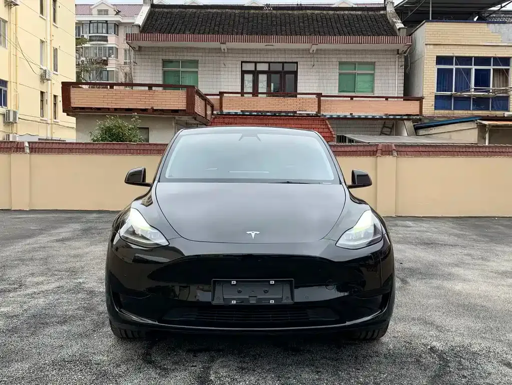 Tesla Model Y 2022 из CN, фото 7