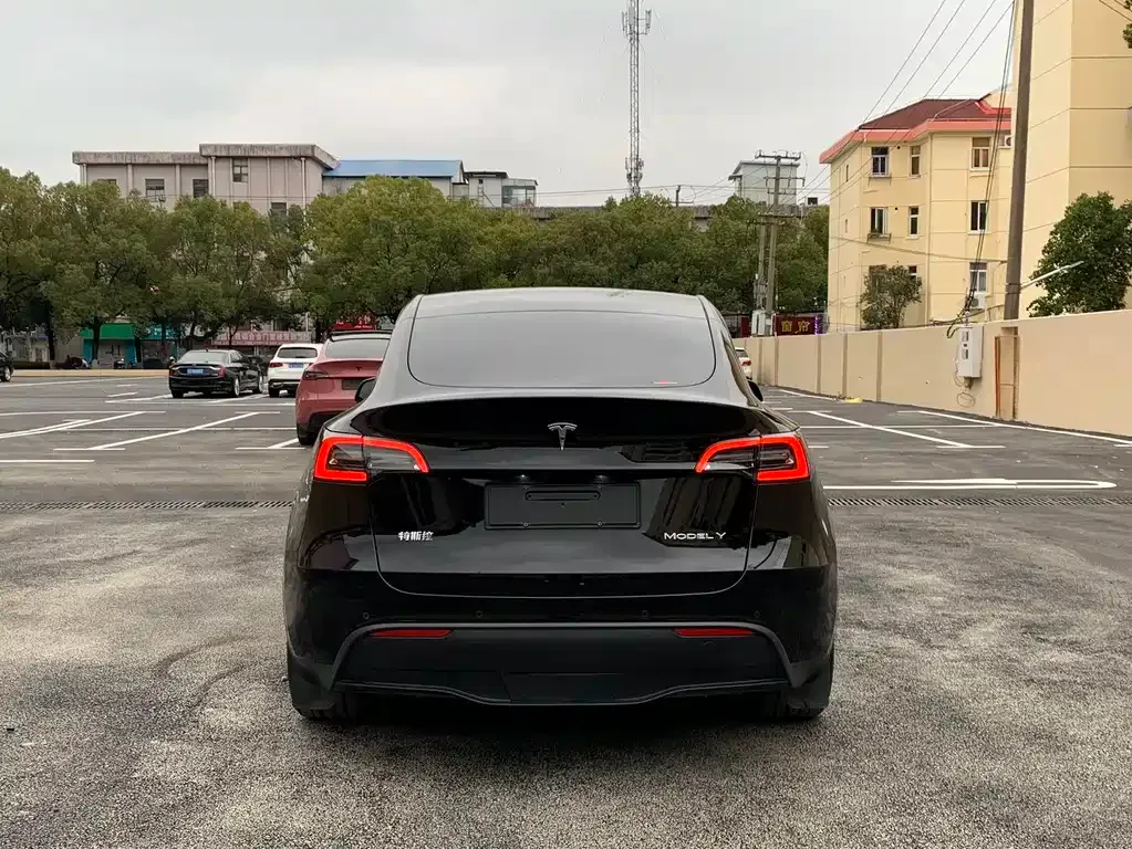 Tesla Model Y 2022 из CN, фото 2