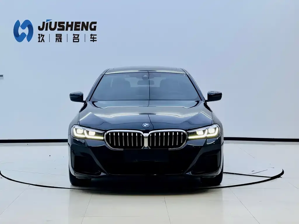 BMW 5 Series New Energy — фото 4