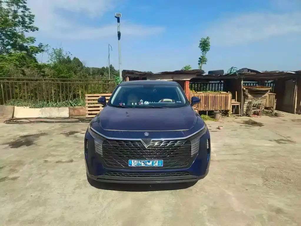 Venucia V 2023 из CN, фото 7