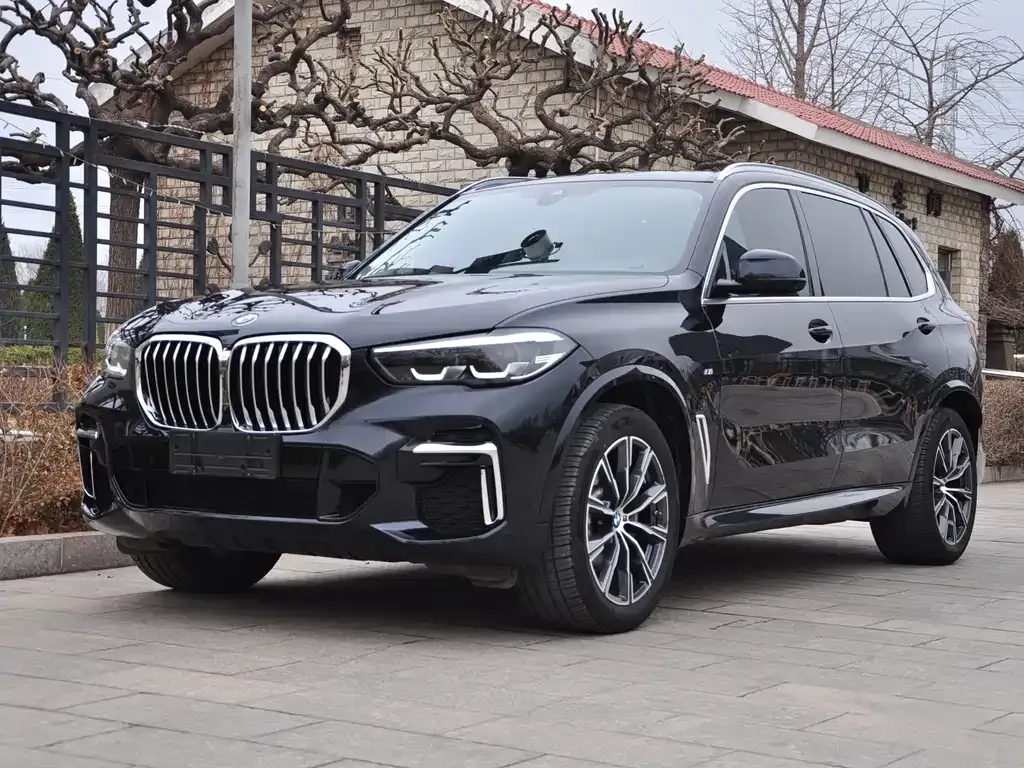 BMW X5 2022 из CN, фото 1