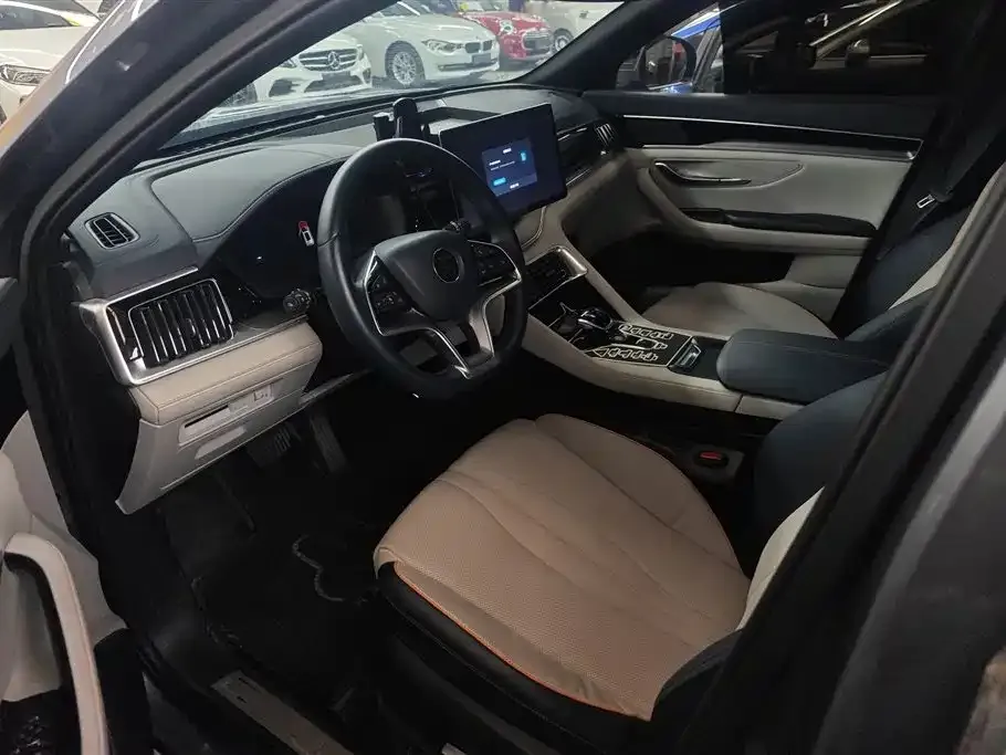 BYD PLUS New Energy 2023 из CN, фото 10
