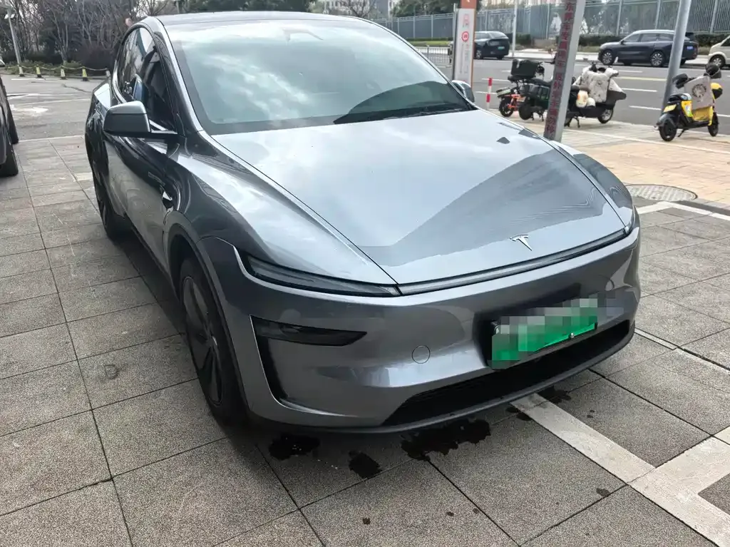 Tesla Model Y 2025 из CN, фото 4