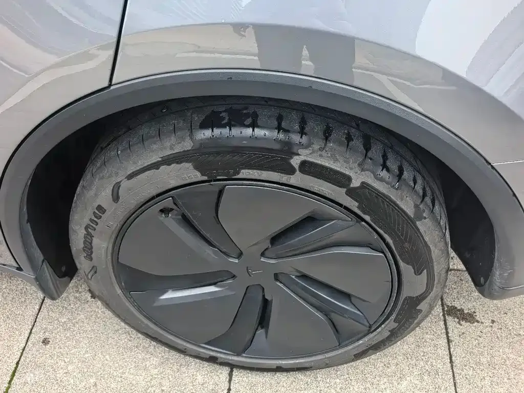 Tesla Model Y 2025 из CN, фото 2