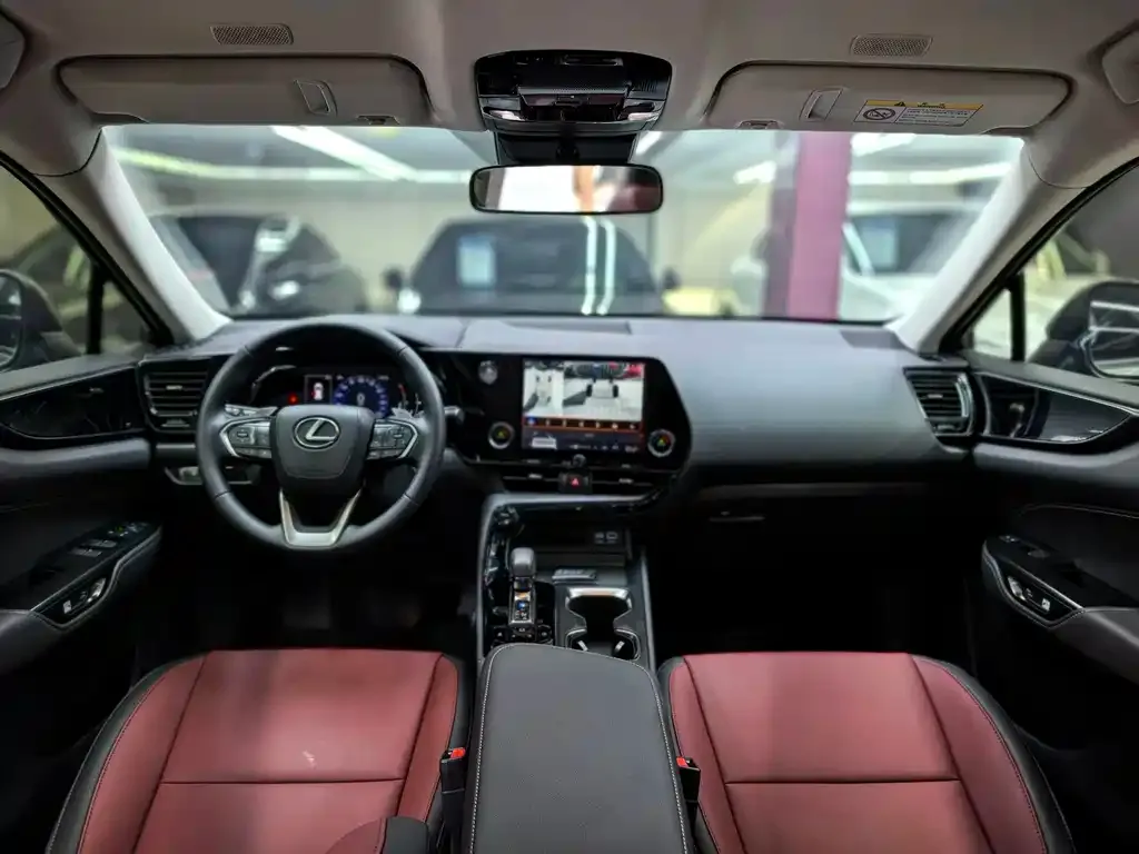 Lexus NX 2024 из CN, фото 8