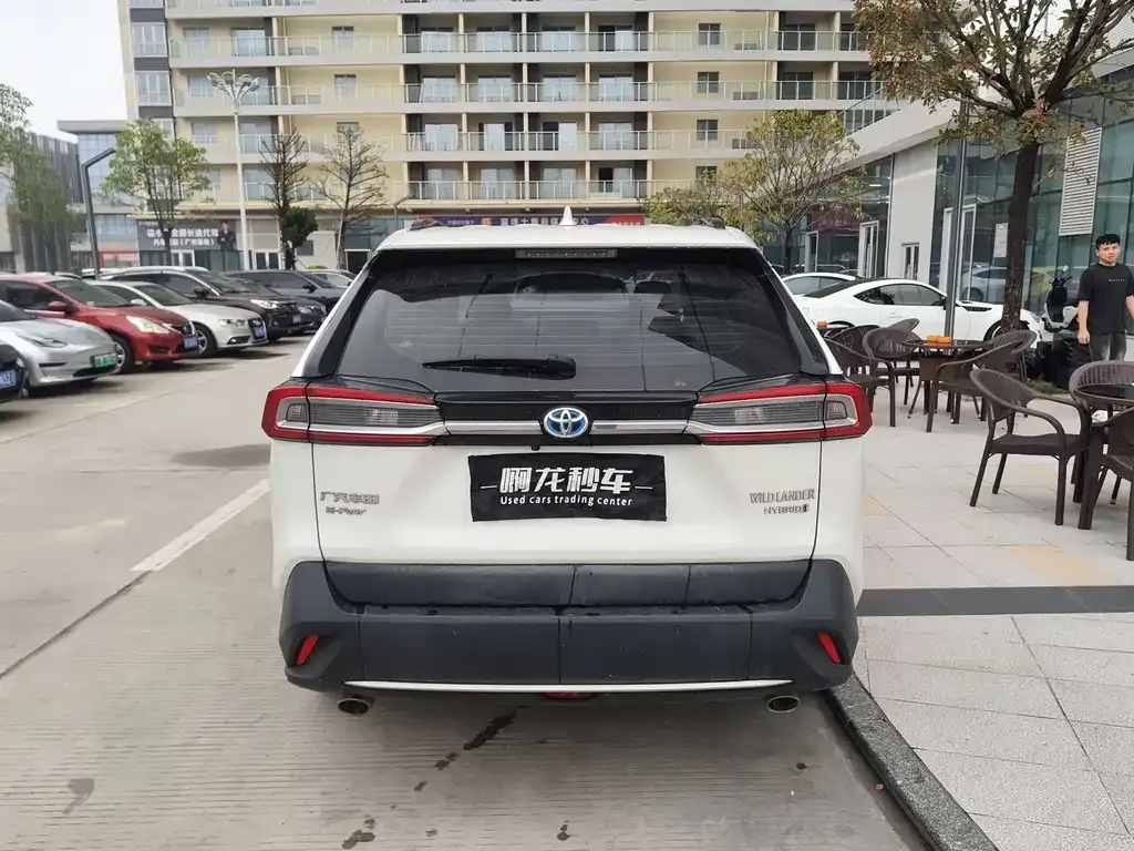Toyota Wildlander 2023 из CN, фото 5