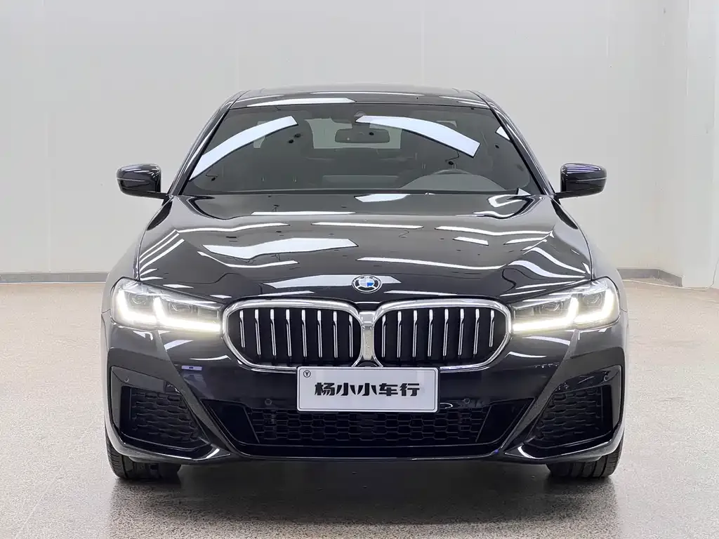 BMW 5 Series 2023 из CN, фото 3