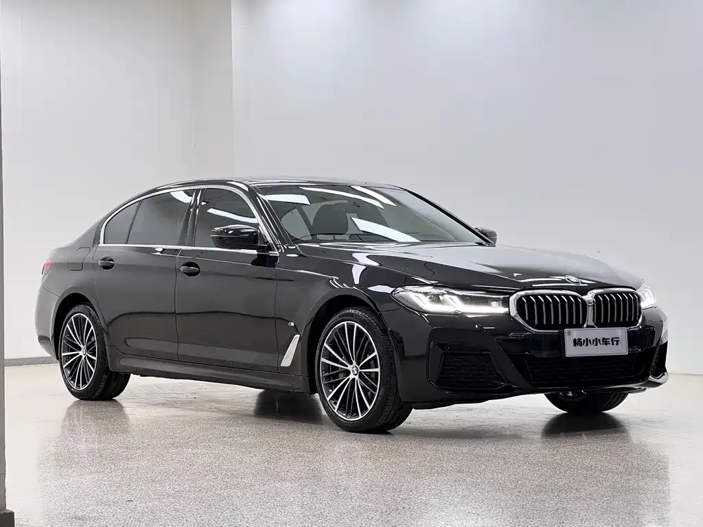 BMW 5 Series 2023 из CN, фото 7