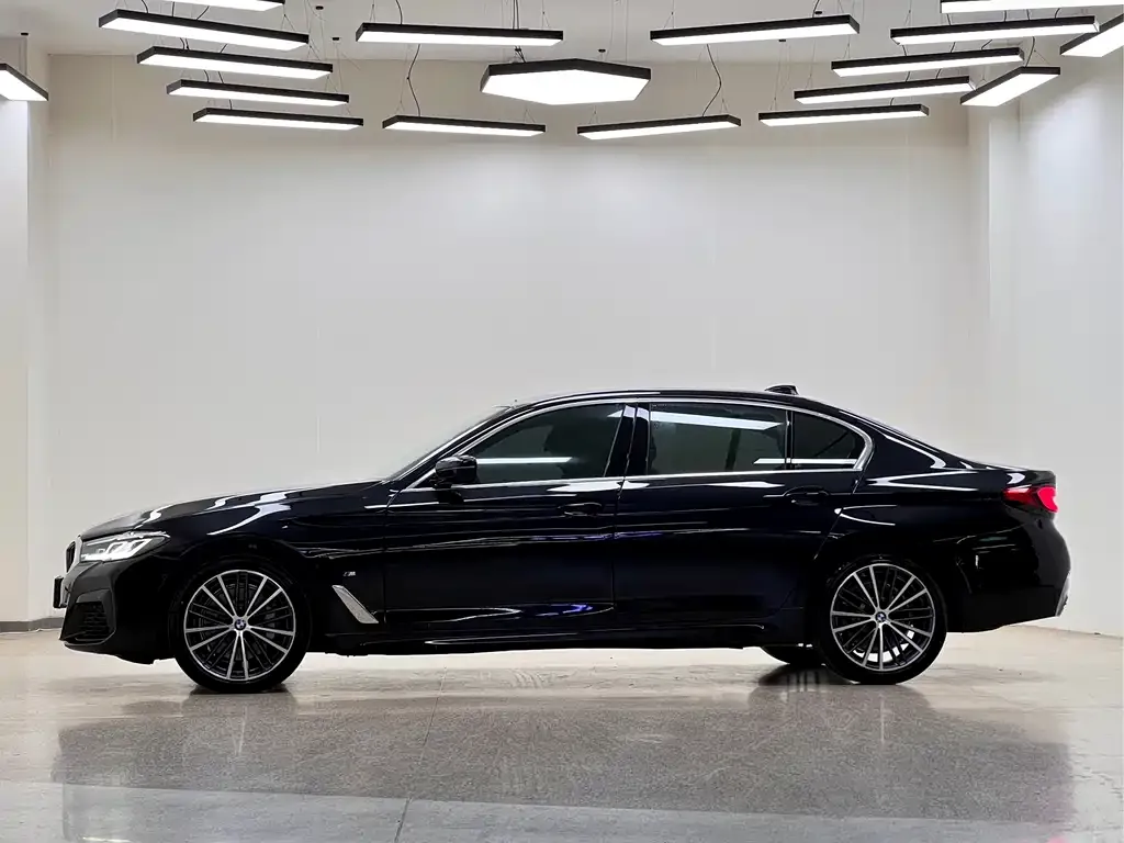 BMW 5 Series 2023 из CN, фото 6