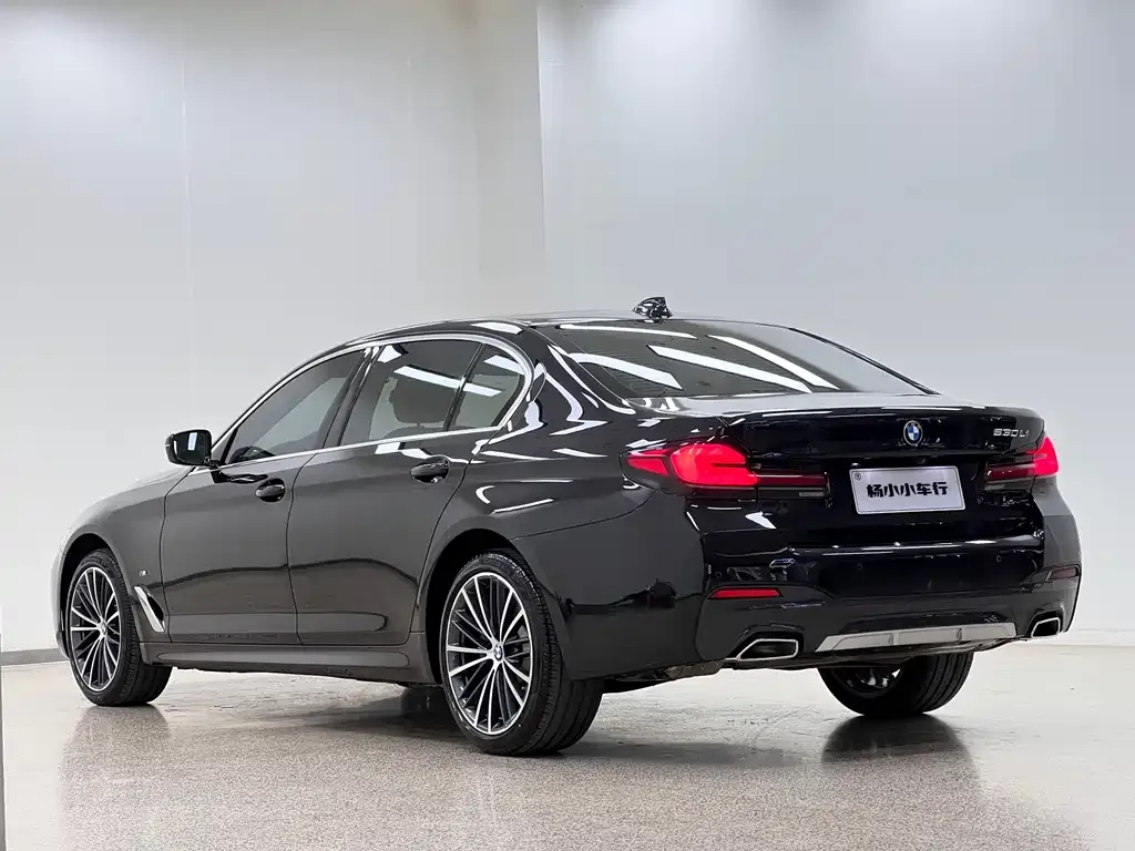 BMW 5 Series 2023 из CN, фото 5