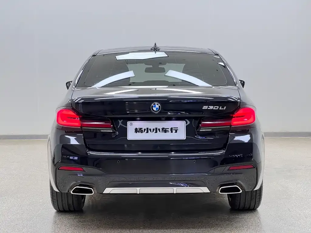 BMW 5 Series 2023 из CN, фото 4