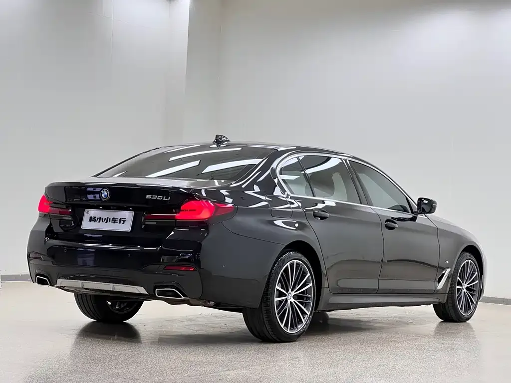 BMW 5 Series 2023 из CN, фото 8