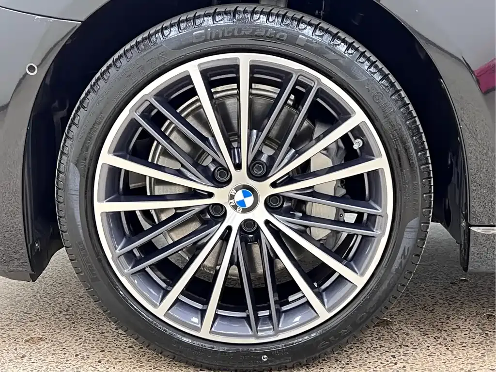 BMW 5 Series 2023 из CN, фото 10