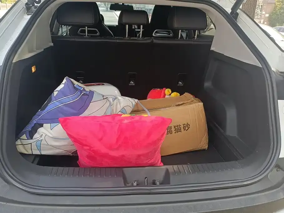 Chery Tiggo 5x 2025 из CN, фото 2