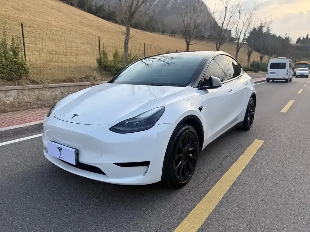 Tesla Model Y — фото 1