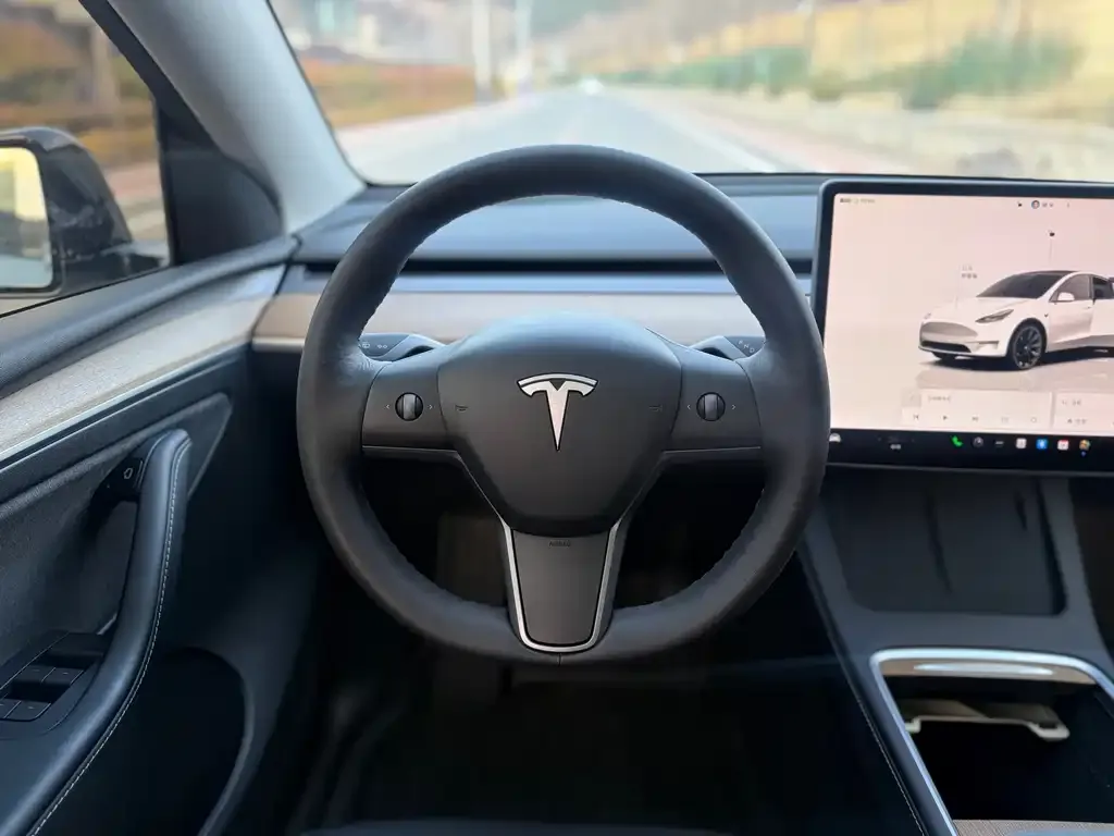 Tesla Model Y — фото 3